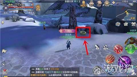 生菜新品种 “沪芊”育成